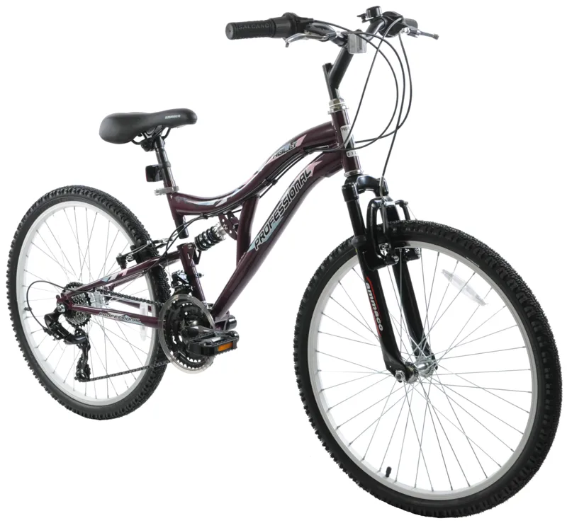 Professional Holly 26 Inch Mountain Bike Purple-1